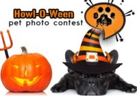 KJ97 Howl-O-Ween Pet Photo Contest